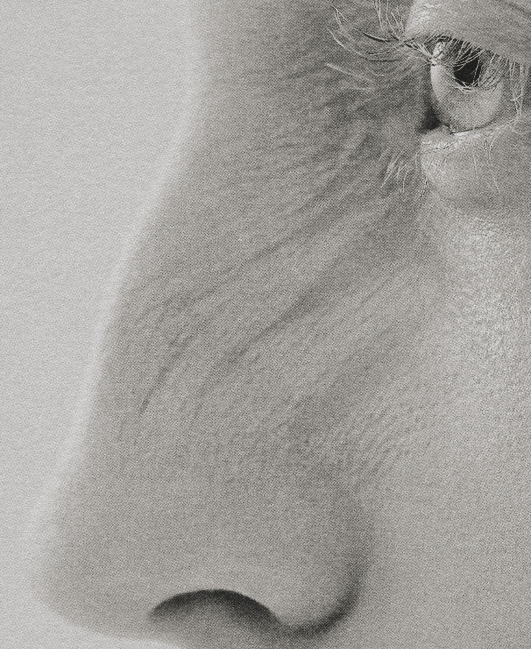 Black-and-white extreme close-up of Sasha Konograeva’s skin, eye and fine facial texture.